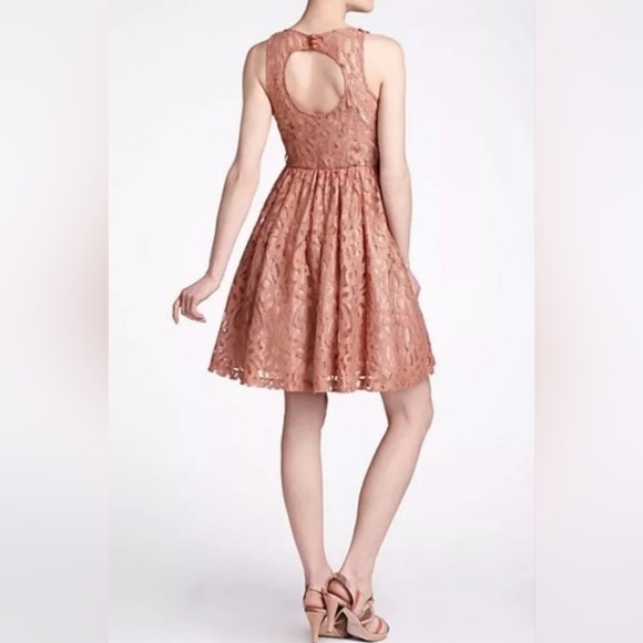 Plenty by Tracy Reese Mariposa Lace Dress - Size 2 - Picture 5 of 12